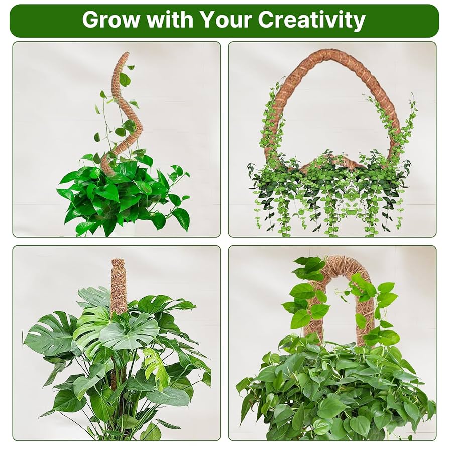 Amazon.com : 48 Inch Bendable Moss Pole for Plants Monstera
